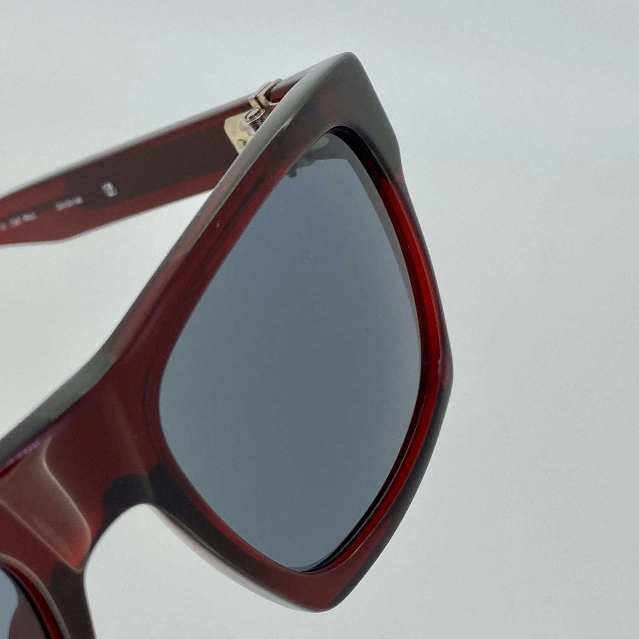 Ann Demeulemeester Sunglasses D-Frame Bordeaux Red and Blue