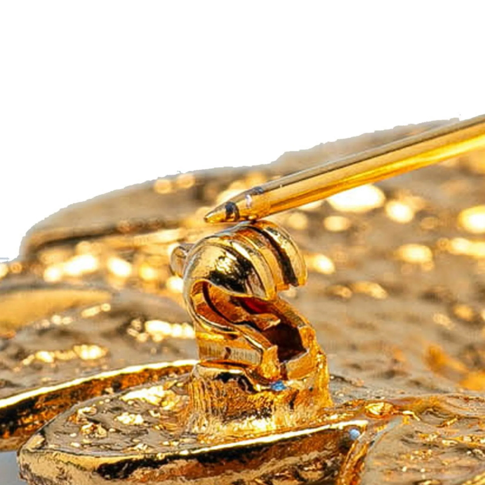 Chanel Brooch (Pre-Owned)