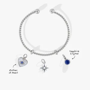 Cosmic Shield Charm Bundle