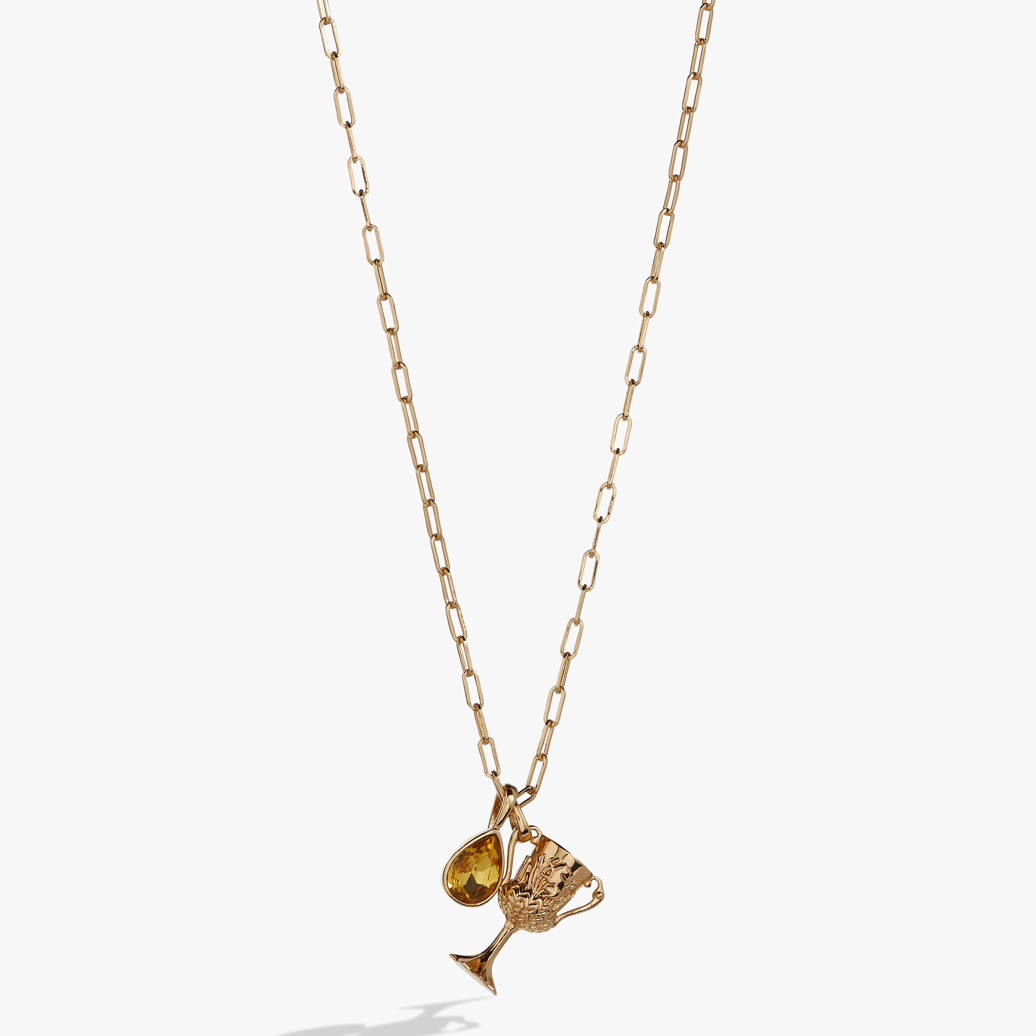 Harry Potter Hufflepuff Cup Necklace
