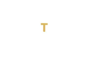 IX T 22K Gold Plated Stud