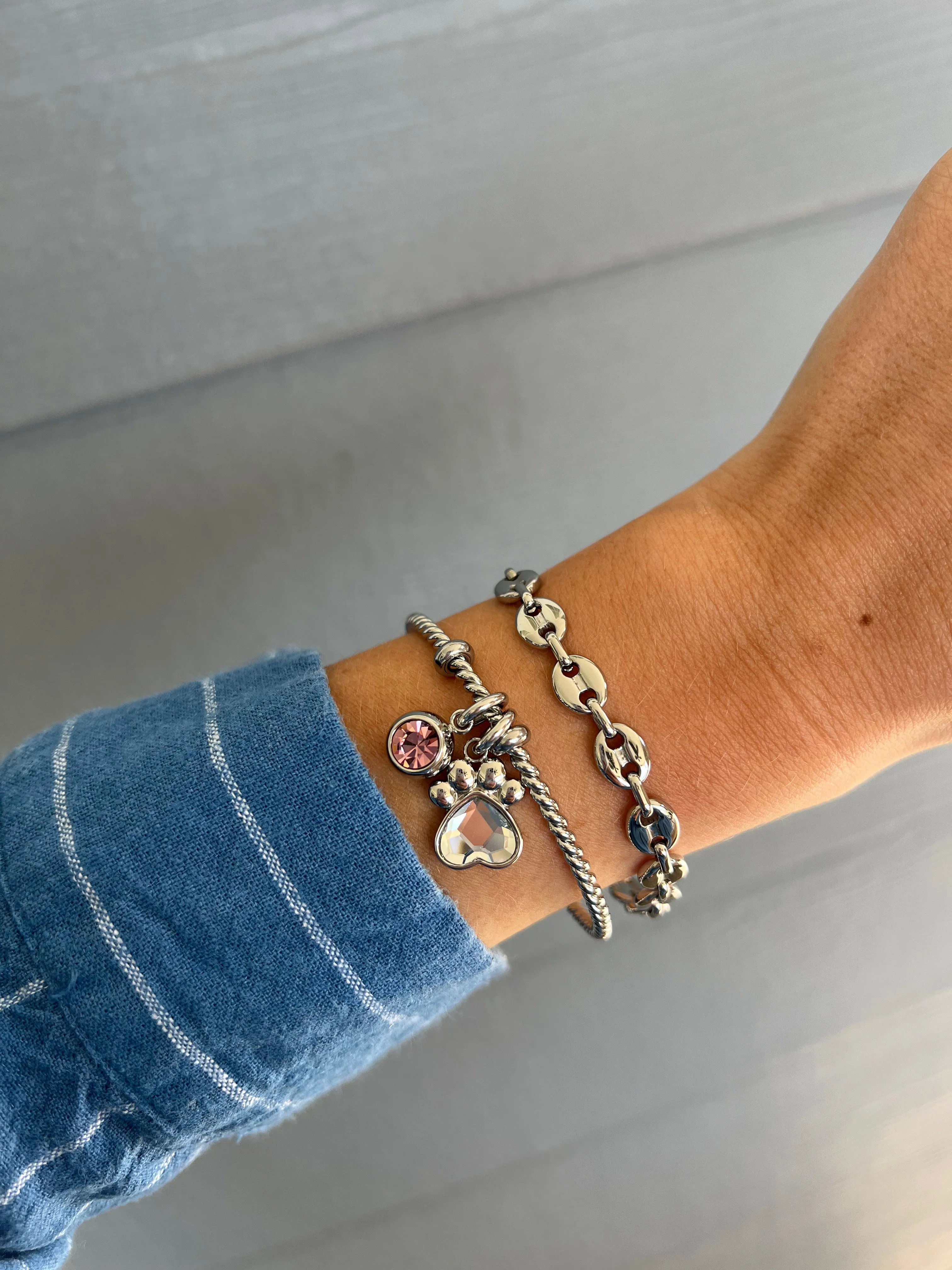 June Birthstone Interchangeable Charm