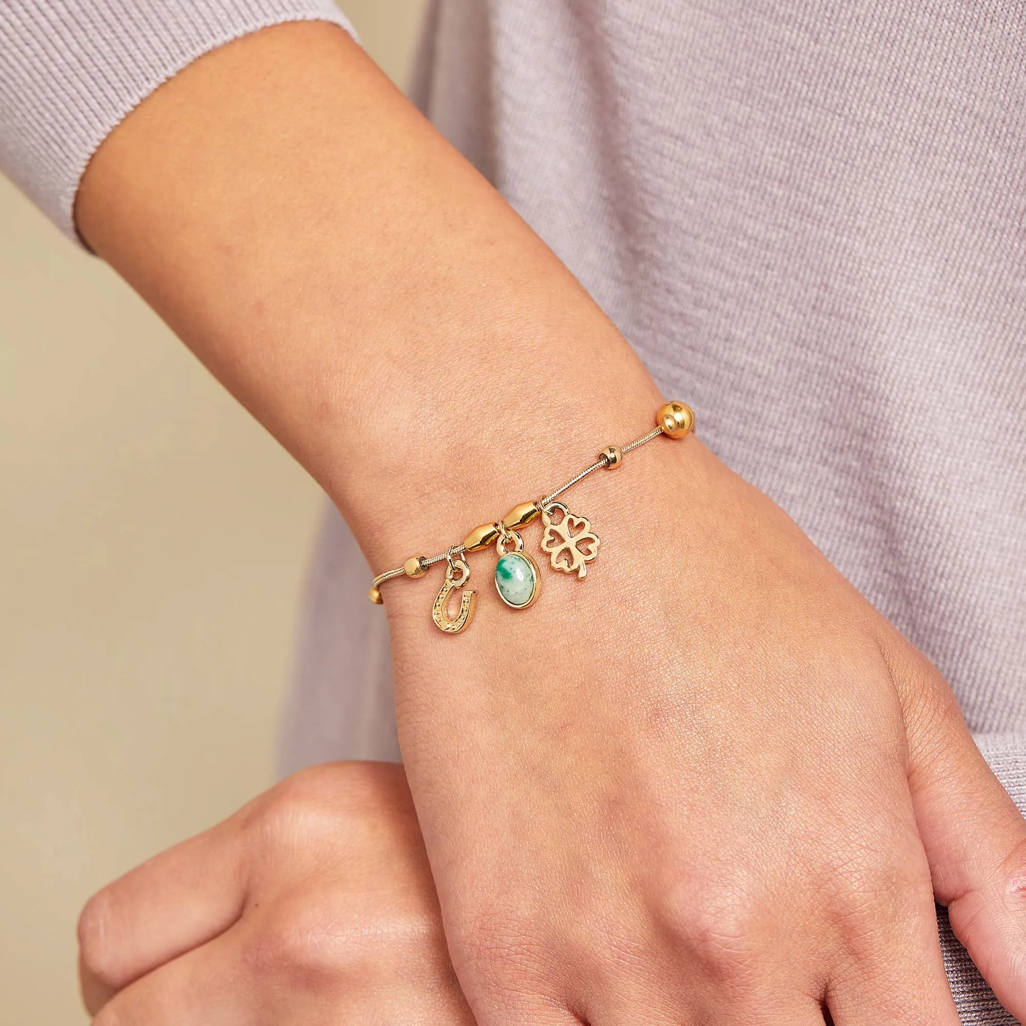 Luck   Prosperity Multi-Charm Bracelet