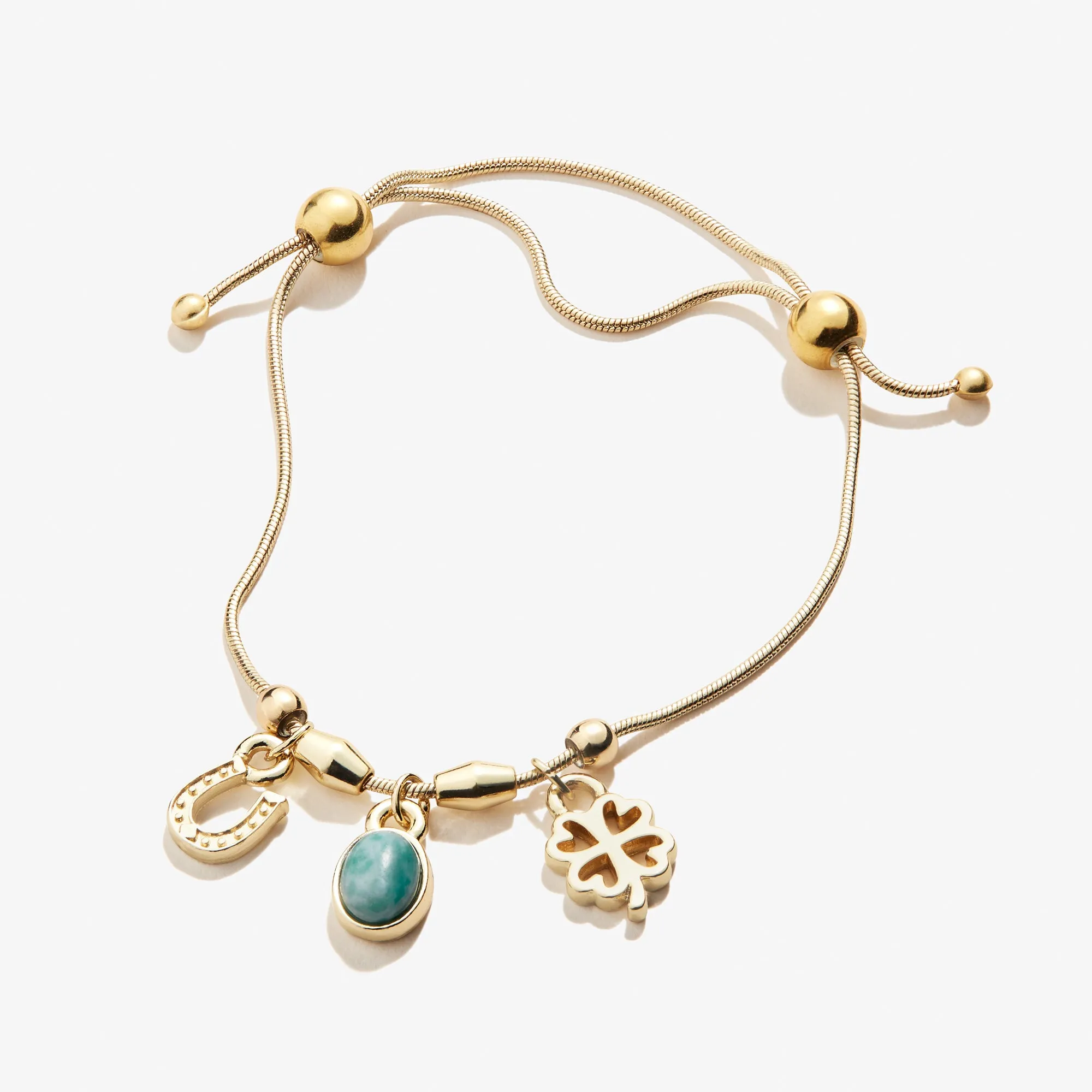 Luck   Prosperity Multi-Charm Bracelet