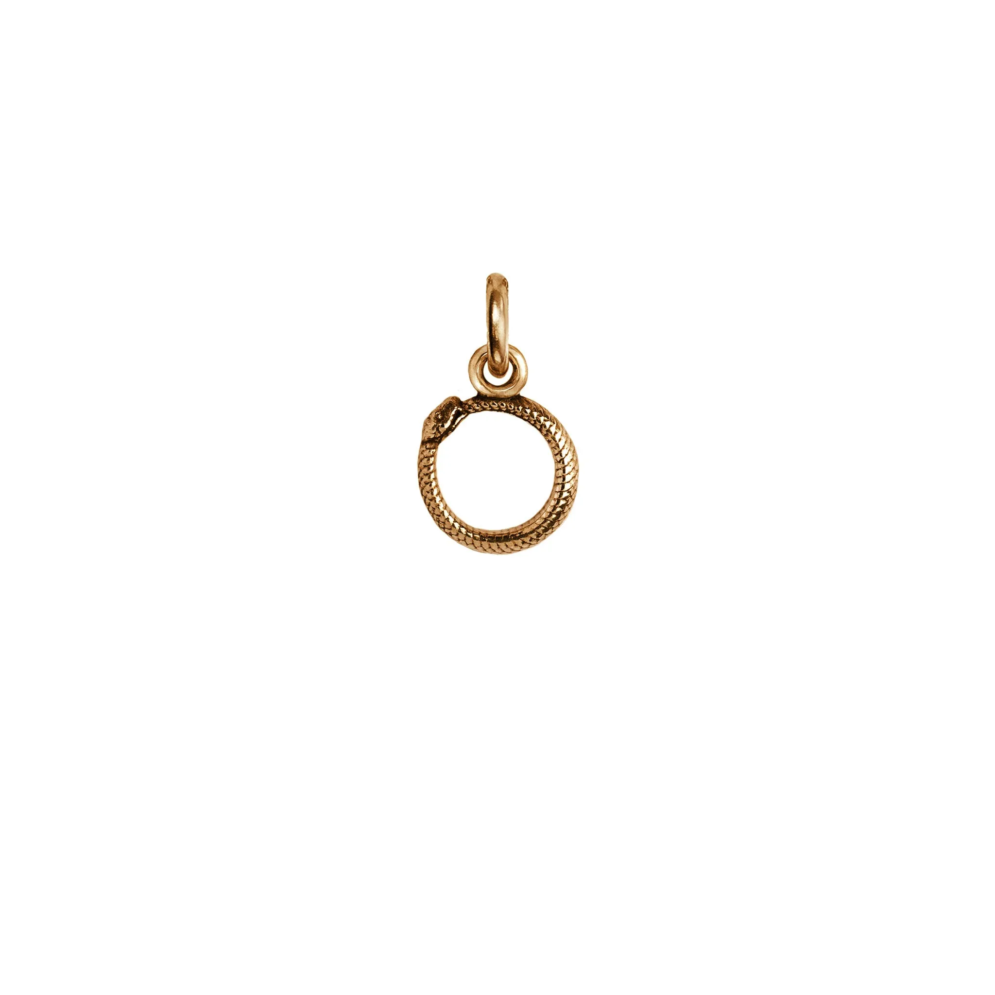 Ouroboros Symbol Charm