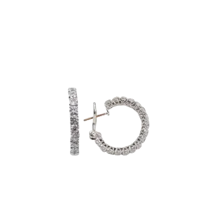 Stone Hoop Earrings