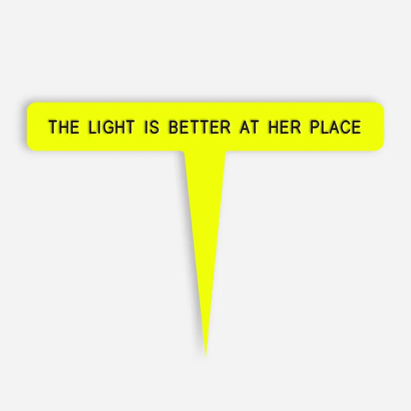 THE LIGHT IS BETTER AT HER PLACE Caption