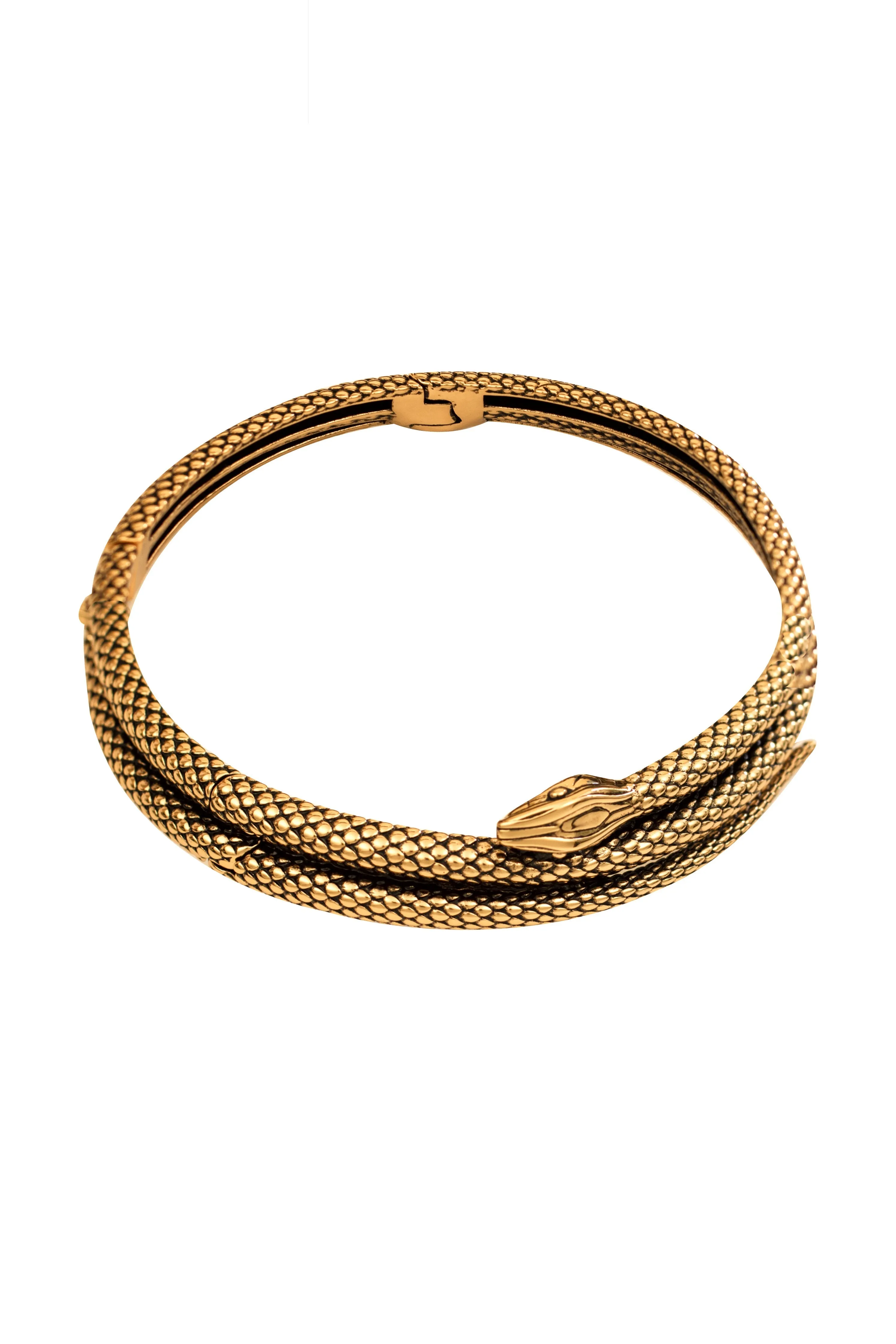 The Snake Necklace