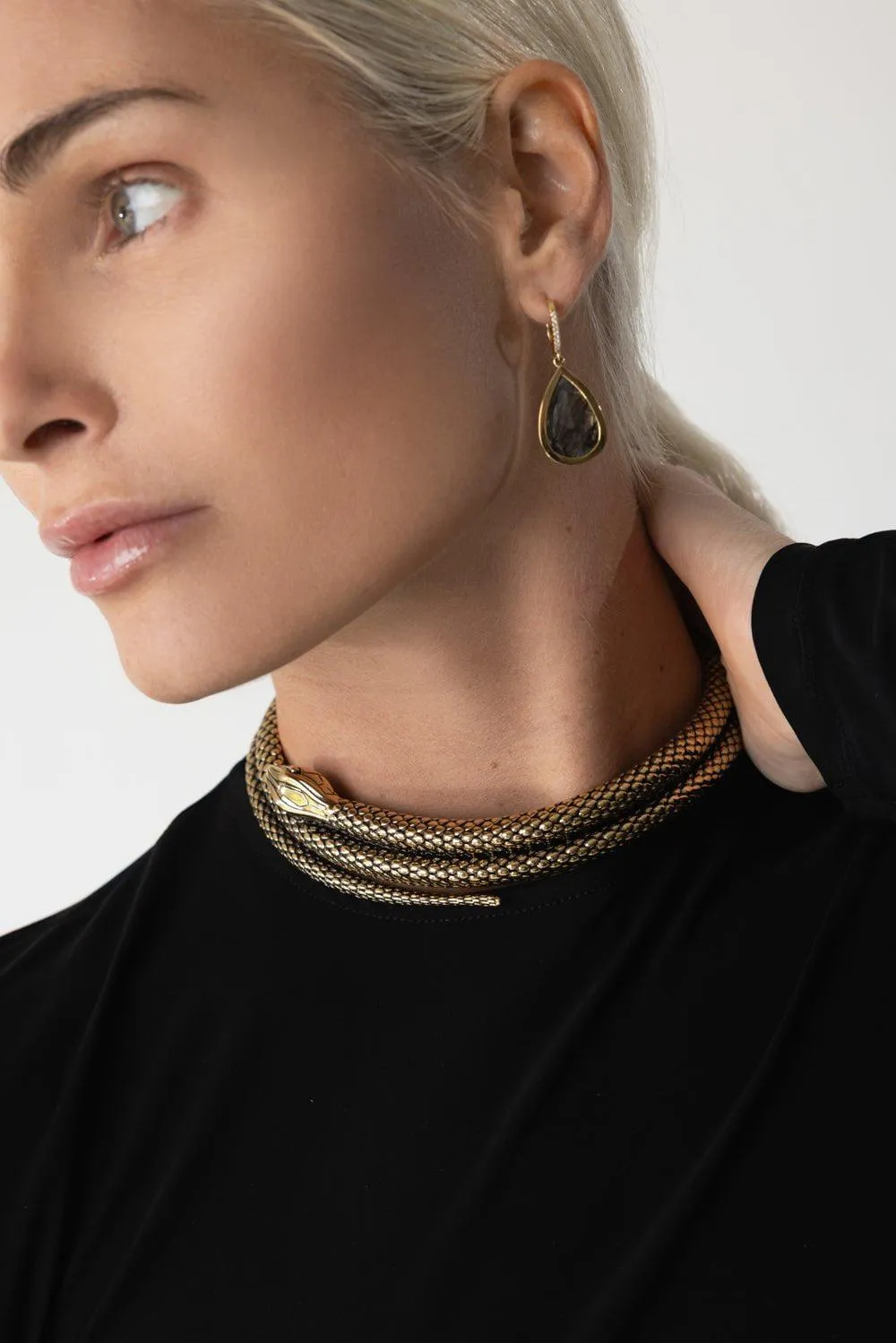 The Snake Necklace