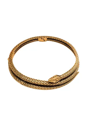 The Snake Necklace